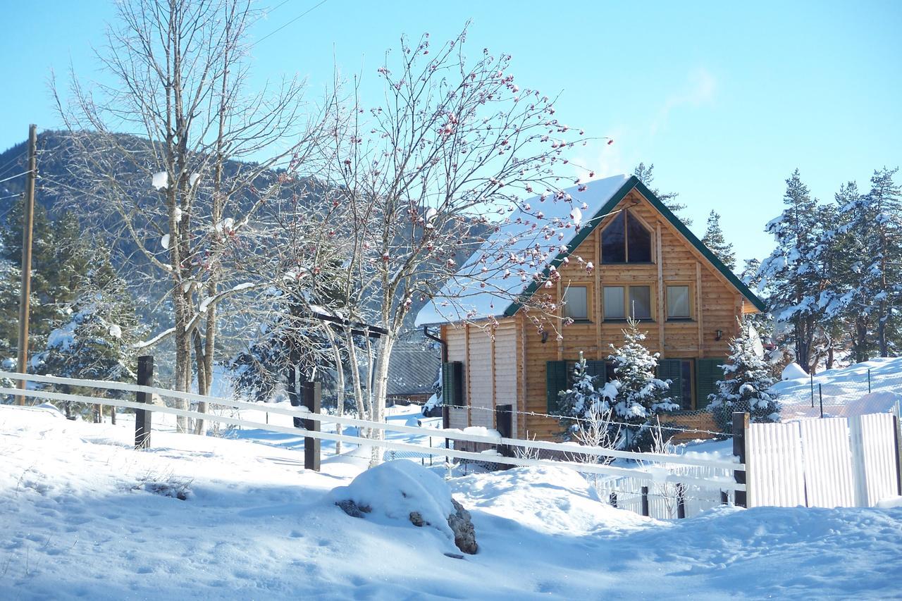 شقة Kuca U Borju - House In Pines جابلياك المظهر الخارجي الصورة